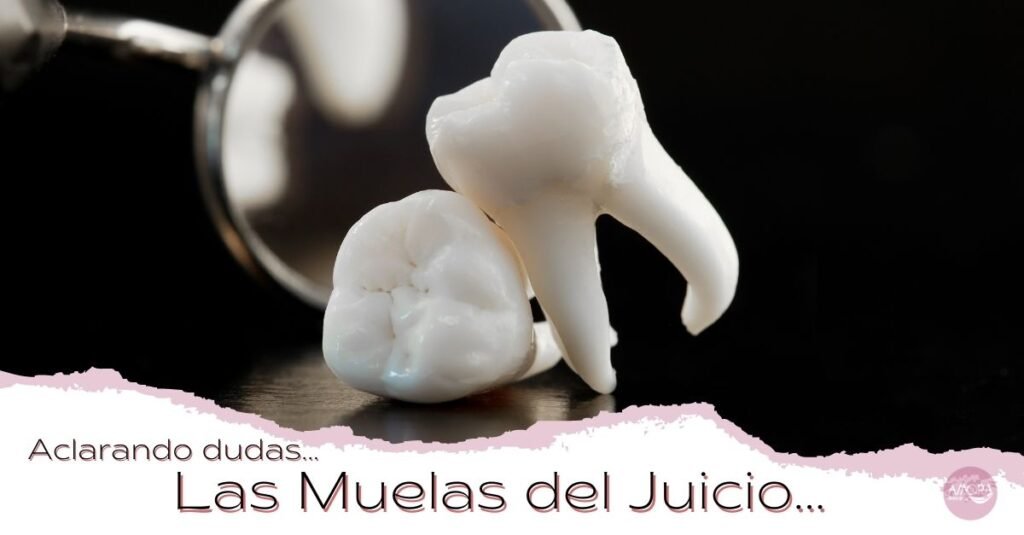 specificere tandpine Kilde Las muelas del juicio - Amora Clínica Dental - Clínica Dental Sabadell